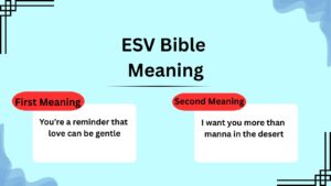 ESV Bible Meaning