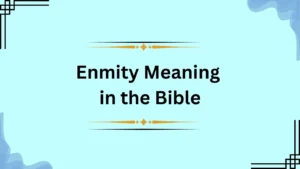 Enmity Meaning in the Bible