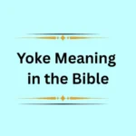 Yoke Meaning in the Bible