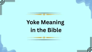 Yoke Meaning in the Bible